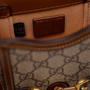 Сумка Gucci Horsebit 1955 Mini Bag 259635 37SXC 5230