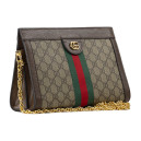 Сумка Gucci Ophidia Small Shoulder Bag Brown Beige 448514 MNMGR 2517