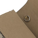 Сумка Gucci Dionysus Big Supreme GG Beige 400249 71343860